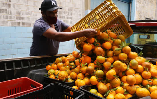 Banco de Alimentos distribuiu 68 toneladas de comida em julho