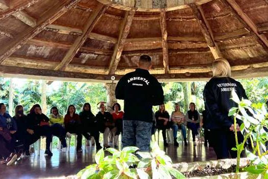 Equipe Ambiental de Ribeirão Pires realiza palestra com coordenadores de escolas