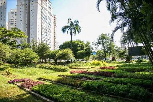 Escola Municipal de Ecologia de São Caetano realiza curso de horta para pequenos espaços