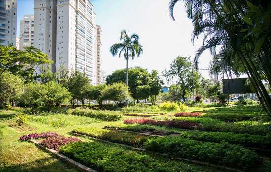 Escola Municipal de Ecologia de São Caetano realiza curso de horta para pequenos espaços