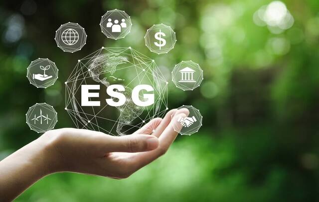 A colaboração do profissional do ESG e da sustentabilidade