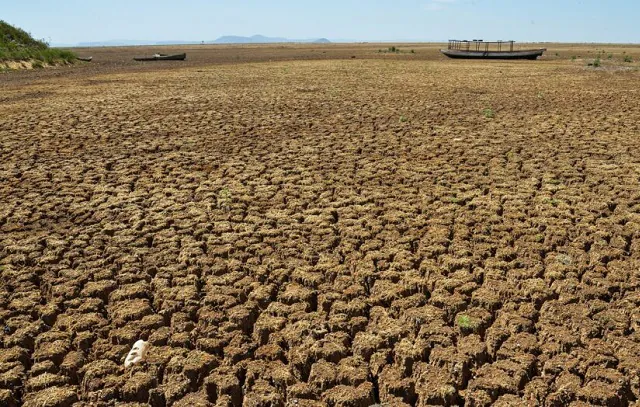 Estiagem coloca 317 municípios estão em situação de emergência no RS