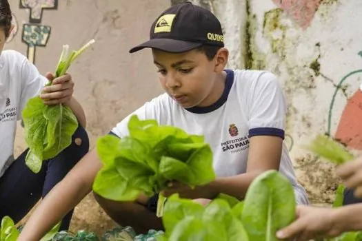 SP: Estudantes vão aprender sobre agricultura familiar em hortas na Zona Sul