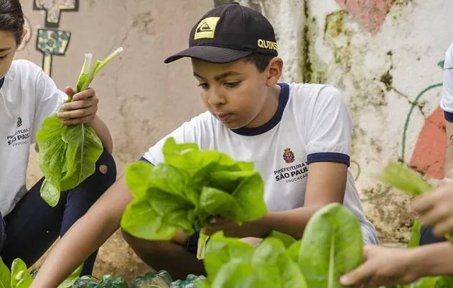 SP: Estudantes vão aprender sobre agricultura familiar em hortas na Zona Sul