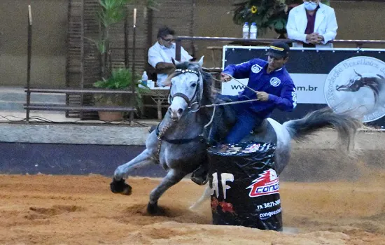 Cavalo Árabe mostra toda a sua funcionalidade em provas realizadas em Tatuí