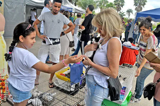 Feira de adoção e Moeda Pet acontecem neste domingo no Parque Central