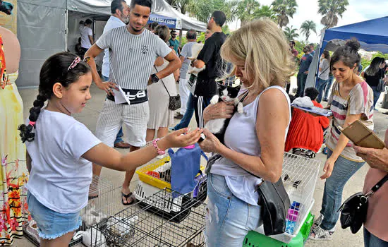 Feira de adoção e Moeda Pet acontecem neste domingo no Parque Central