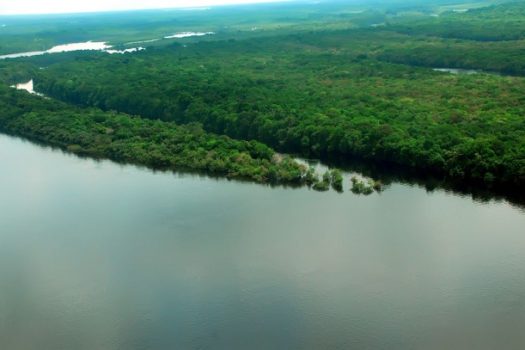 EUA estão empenhados em arrecadar recursos vultosos para Amazônia