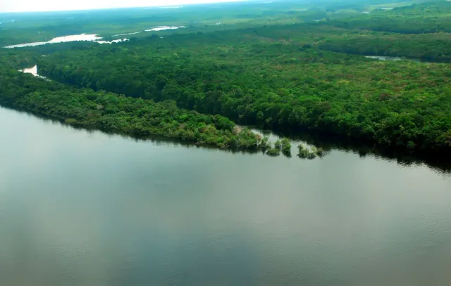 EUA estão empenhados em arrecadar recursos vultosos para Amazônia