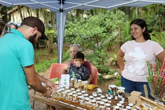 Inauguração de meliponários reúne 300 pessoas no Jardim Botânico de Diadema