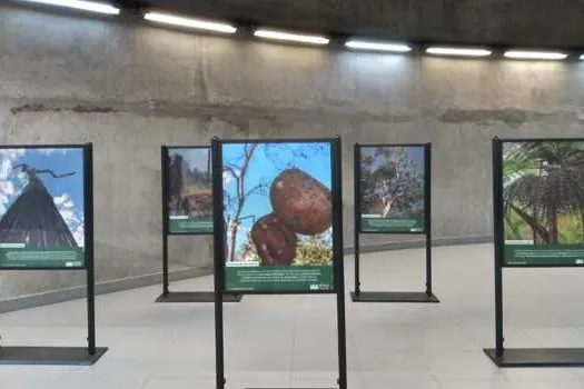 Estação Adolfo Pinheiro recebe exposição Amazônia De Todos