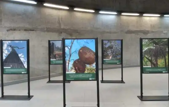 Estação Adolfo Pinheiro recebe exposição Amazônia De Todos