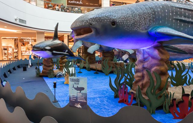 Mais Shopping recebe exposição de animais marinhos em tamanho real