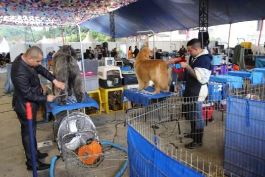 Exposição e Competição de Cães de Raça Pura agitou o fim de semana em Ribeirão Pires