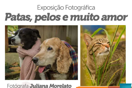 FSS de Ribeirão Pires sedia exposição fotográfica de Juliana Morelato