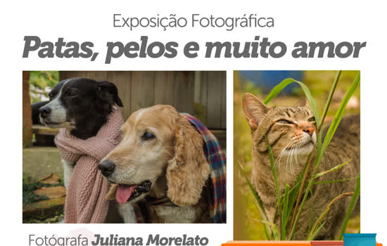 FSS de Ribeirão Pires sedia exposição fotográfica de Juliana Morelato