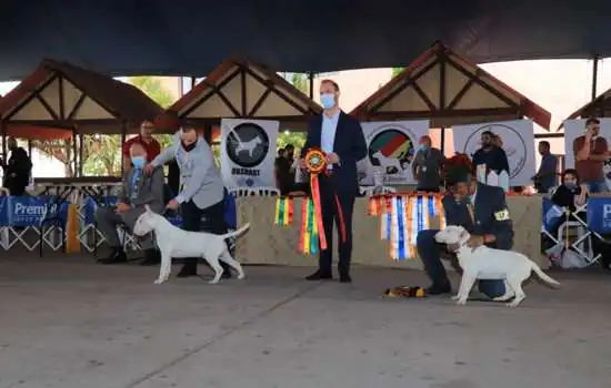 Ribeirão Pires sedia expo de cães neste final de semana