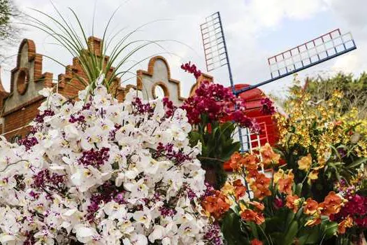 Expoflora: abertas as vendas de ingressos do segundo e último lote promocional