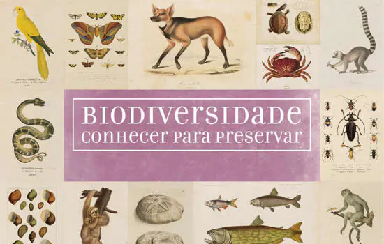 Semasa leva moradores para conhecer o Museu de Zoologia da USP