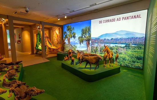 Artesanato do Centro-Oeste compõe exposição no RJ