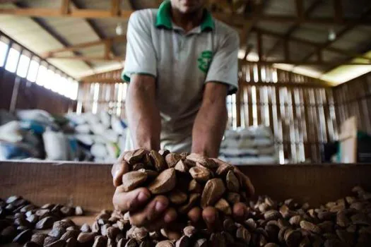 Extrativistas querem que produtos tenham chancela de povo amazônico