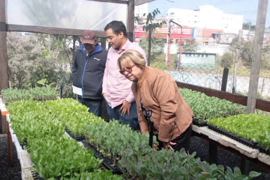 Prefeitura inaugura a primeira Fábrica de Mudas de Mauá