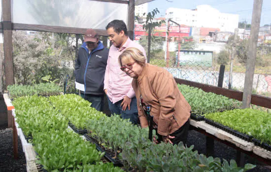 Prefeitura inaugura a primeira Fábrica de Mudas de Mauá