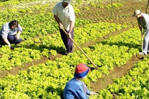 Bolsonaro veta medidas de amparo a agricultores familiares durante a pandemia