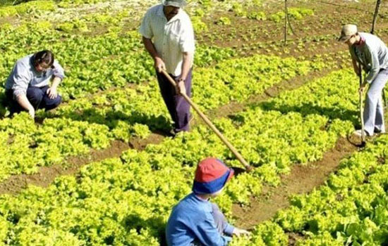 Bolsonaro veta medidas de amparo a agricultores familiares durante a pandemia