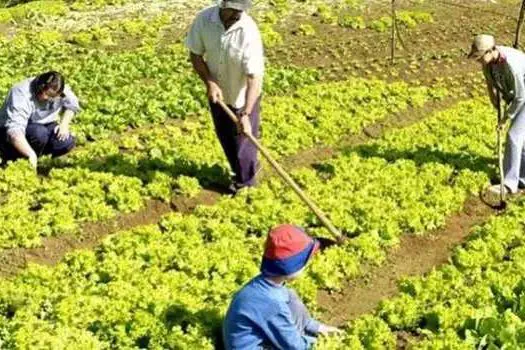 Governo de SP autoriza posse definitiva de terra para agricultores familiares do Estado