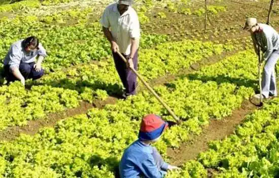 Governo de SP autoriza posse definitiva de terra para agricultores familiares do Estado