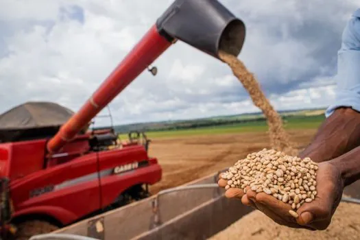 Aumento da temperatura vai afetar a produção de feijão no Brasil