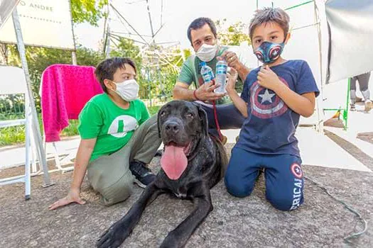 Santo André retoma feira de adoção de animais