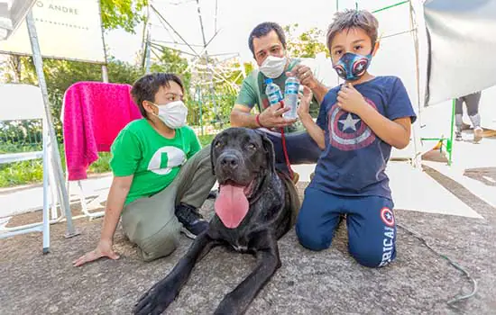 Santo André retoma feira de adoção de animais