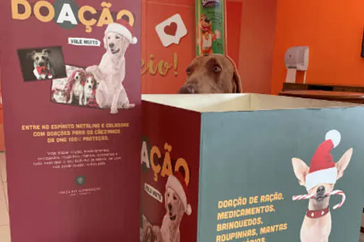 Feira de Adoção Pet com ações especiais no São Bernardo Plaza