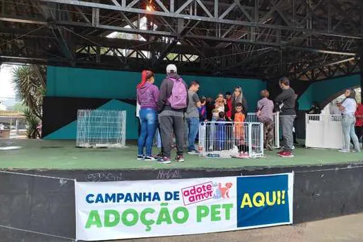 Feira de Adoção de Ribeirão Pires consegue novo lar para 18 animais