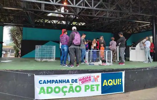 Feira de Adoção de Ribeirão Pires consegue novo lar para 18 animais