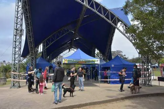 Feira “Eu amo, eu adoto” garante lar para 31 animais em Santo André