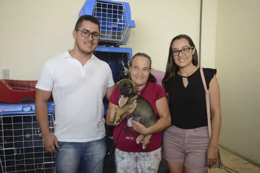 São Bernardo incentiva a posse responsável de animais de estimação