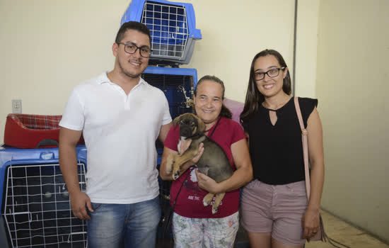 São Bernardo incentiva a posse responsável de animais de estimação