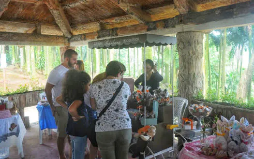 Fundo Social de Ribeirão Pires promove Feira de Artesanato