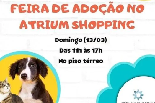 Domingo é dia de adotar um pet no Atrium Shopping