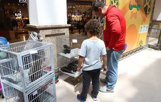 Feira de Adoção de cães e gatos muda a vida de famílias em Diadema