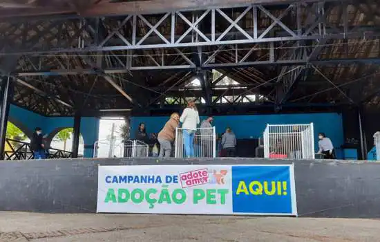 Feira de Adoção de Ribeirão Pires consegue lar para mais 16 animais