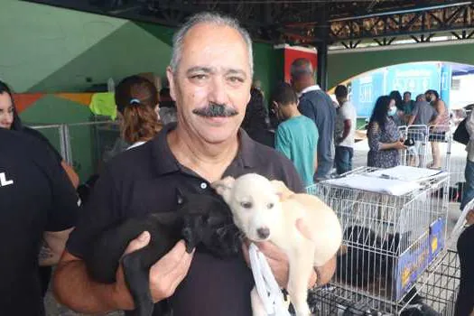 Feira de Adoção de Ribeirão Pires consegue lar para 29 animais