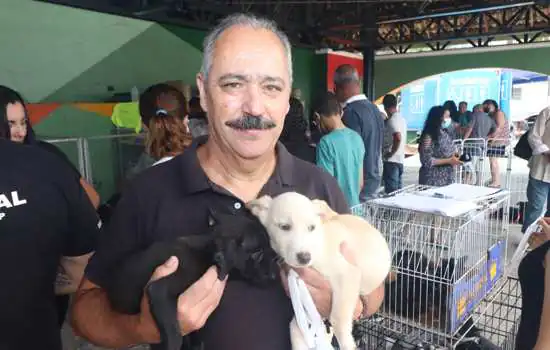 Feira de Adoção de Ribeirão Pires consegue lar para 29 animais