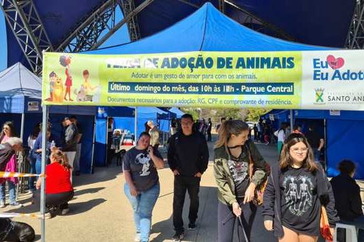 Feira de adoção “Eu amo