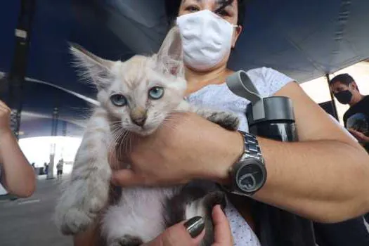 Ribeirão Pires realiza 7ª Feira de Adoção de Cães e Gatos de 2022