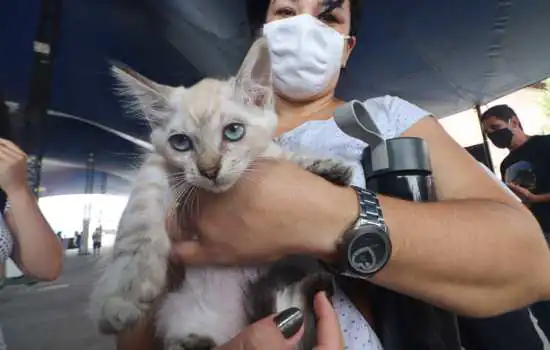 Ribeirão Pires realiza 7ª Feira de Adoção de Cães e Gatos de 2022