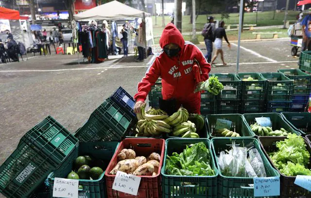 Feira Agroecológica de Diadema começa nesta sexta-feira (19)